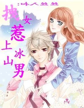 狗狗物品记忆卡
